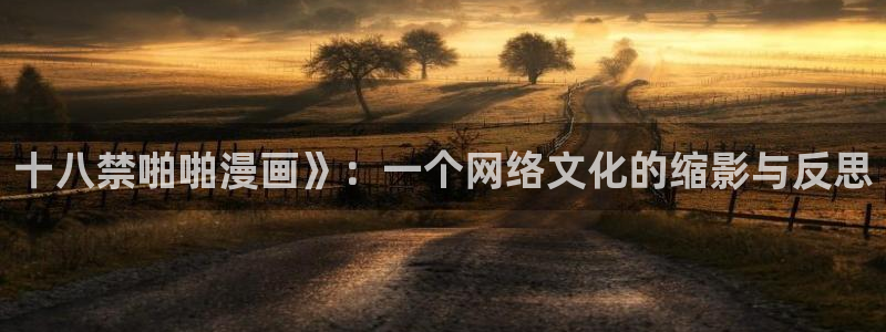 什么漫画网站能看51漫画：十八禁啪啪漫画》：一个网络文化的缩影与反思