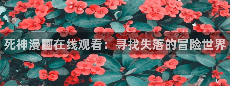 好看的韩国漫画_51漫画在线免费阅读：死神漫画在线观看：寻找失落的冒险世界