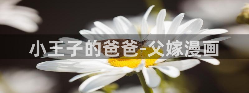 新入职员51漫画画免费下拉式：小王子的爸爸-父嫁漫画
