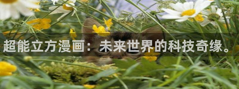 51漫画免费阅读下拉式漫画：超能立方漫画：未来世界的科技奇缘。