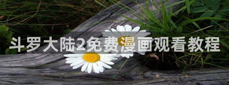 歪歪黄色51漫画