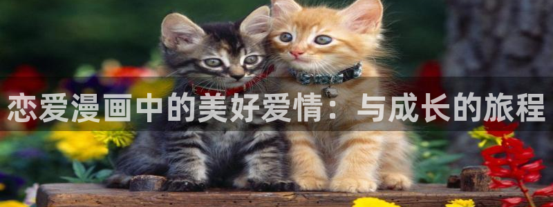 免费51漫画在线观看完整版