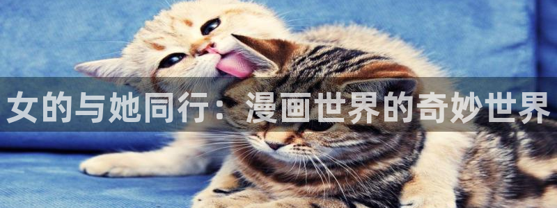 51漫画画土豪漫画