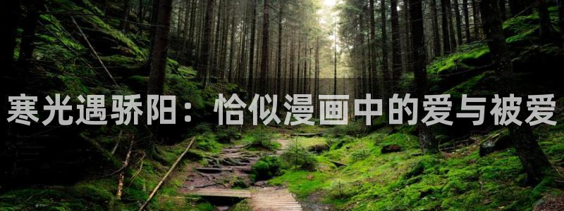 51漫画阿无删减漫画