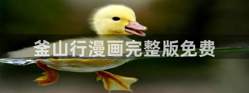 51漫画在线看网站